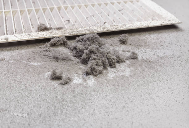 Best Ductwork Cleaning Services  in Riverton, IL